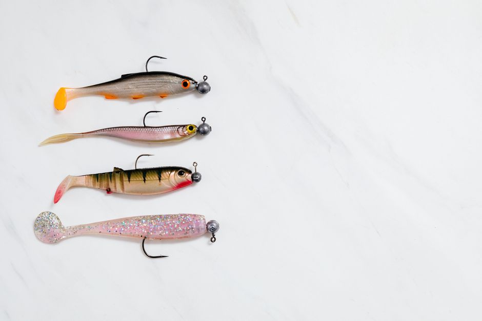 What Bass Lure Should I Throw in Unfamiliar Water?
