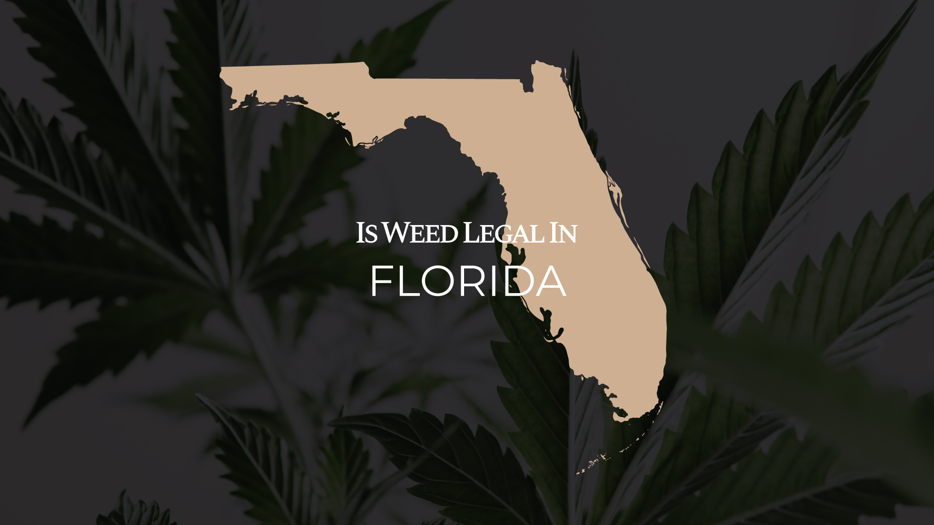 Marijuana Laws in Myrtle Beach: Current Legal Status and Regulations