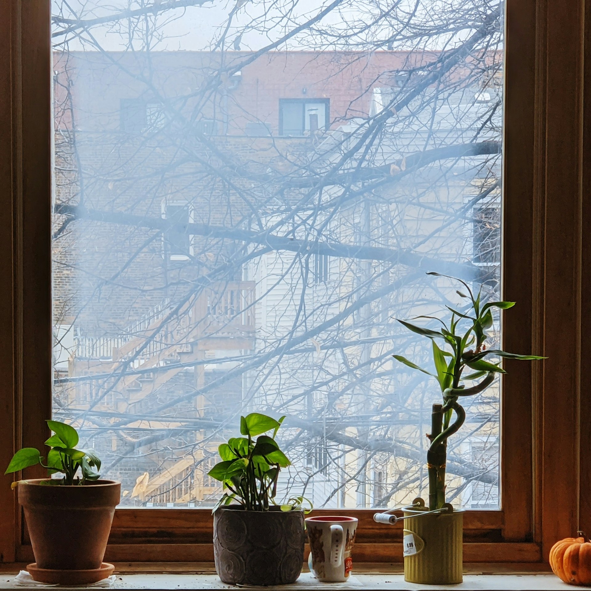 Transforming Modern Homes with Healthy Indoor Air Quality: Essential Benefits, Risks, and Solutions