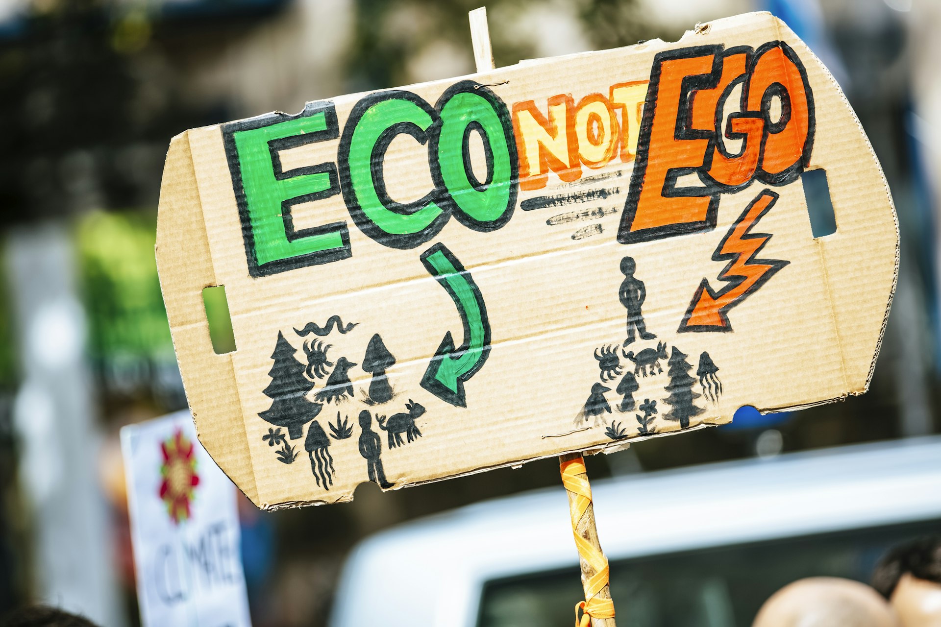 Sustainable Strategies for an Organized, Eco-Friendly Home
